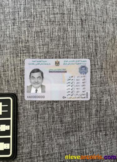 Iraq national ID card photolook
